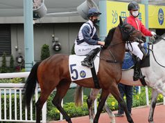 20/4/2022谷草9場心水推介 贏盡天下有爭首捷 包裝大獎質超群駒 勁哥