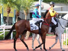 16/4/2022沙田10場泥草混合賽心水推介 閃電換人收復前失 美好世界檔好人佳 勁哥