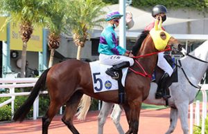 16/4/2022沙田10場泥草混合賽心水推介 閃電換人收復前失 美好世界檔好人佳 勁哥