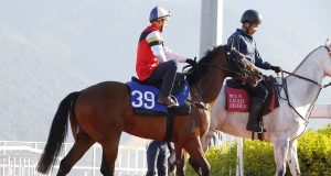 13/4/2022谷草9場心水推介 齊齊友福施回馬槍 股票傳奇檔好人佳 勁哥