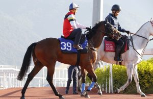 13/4/2022谷草9場心水推介 齊齊友福施回馬槍 股票傳奇檔好人佳 勁哥