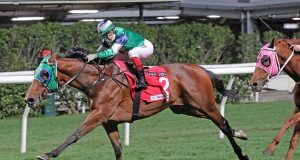 24/4/2022沙田11場大賽心水推介 加州星球以下犯上 超好日子增程更佳 勁哥