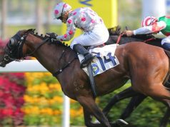 1/6/2022 快活谷夜馬心水推介 幸運旅程人馬合拍 健康在望目標今場