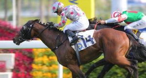 1/6/2022 快活谷夜馬心水推介 幸運旅程人馬合拍 健康在望目標今場