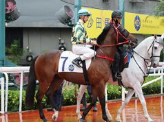 22/6/2022 快活谷夜馬心水推介 忠誠駒贏開有條路 駿馬風采路有專長 勁哥