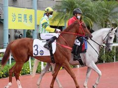 1/7/2022 回歸日沙田賽事心水推介 風火戰駒施回馬槍 識贏馬房爭冠盡拚 勁哥