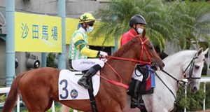 1/7/2022 回歸日沙田賽事心水推介 風火戰駒施回馬槍 識贏馬房爭冠盡拚 勁哥