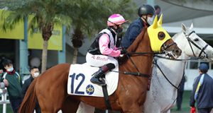 美麗同享又贏一場 網友:後勁勁過巴基之星,實力強過金鎗六十!!!(有片睇)