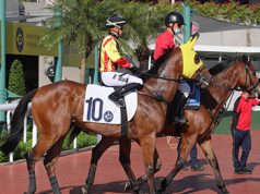 25/6/2022 沙田日馬心水推介 少爺仔強配征二班 遨遊氣泡一放而回 勁哥