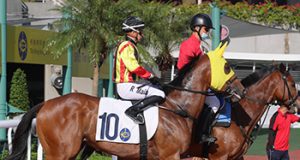 25/6/2022 沙田日馬心水推介 少爺仔強配征二班 遨遊氣泡一放而回 勁哥