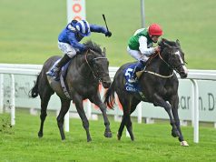 03-06-2022 英國橡樹大賽日心水推介 致勝一擊目標今場 戰神日難尋敵手