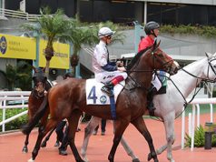 13/7/2022 谷草夜賽心水推介 終身美麗目標今場 馬爾代夫條件有利 勁哥