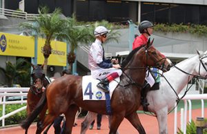 13/7/2022 谷草夜賽心水推介 終身美麗目標今場 馬爾代夫條件有利 勁哥