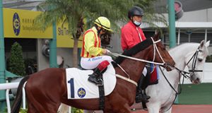 10/7/2022 沙田日賽心水推介 大眾勝利路有專長 綫路之星目標今場 勁哥