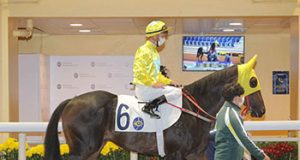 16/7/2022 沙田煞科日賽心水推介 都靈太陽不勝無歸 金鑽貴人難逢敵手