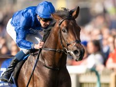 17/8/2022 國際錦標賽馬日心水推介 原野步道完勝勝千里 勁哥