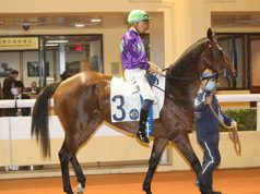 馬匹易廄/退役/取消登記 10/8/2022 五W馬陽明高高宣告退役