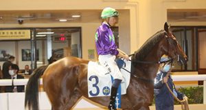 馬匹易廄/退役/取消登記 10/8/2022 五W馬陽明高高宣告退役