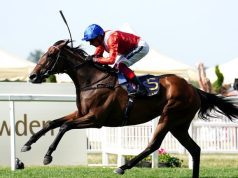 14/8/2022 柏林大賽日及傑克莫華大賽日心水推介 北地霸主出自強組 旋進軌跡收復前失 勁哥