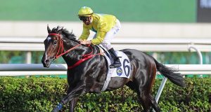 新一代短途王「金鑽貴人」狂勝對手捧走特首盃(有片睇) 馬迷:佢係史上最強短途馬!!!