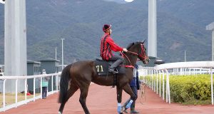 4/9/2022 韓國盃賽馬日心水推介 黃金甲十拿九穩 佳佳