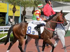 14/9/2022 谷草夜賽開鑼戰心水推介 喜駿之星一放而回 勁哥