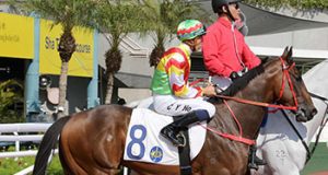 14/9/2022 谷草夜賽開鑼戰心水推介 喜駿之星一放而回 勁哥