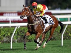 加州星球晨操姿態贏三級賽慶典盃(有片睇) 網友:隻星球馬國際賽將完美KO金鎗六十!!!