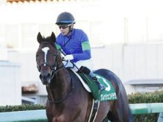 「本初之海」黎香港跑香港盃如果玩大逃可贏幾多個馬位(有片睇)