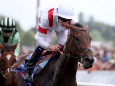 1/11/2022 墨爾本盃賽馬日心水推介 川河威駒不勝無歸 佳佳