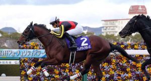 2/10/2022 日本短途馬錦標賽馬日心水推介 速度大師級數搭夠