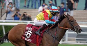 福逸孭頂磅行返黎贏二級賽精英碗(有片睇) 網友:呢隻係世界上最強既短途馬王!!!