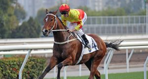 「加州星球」沙田錦標輕鬆取勝(有片睇) 網友:「金鎗六十」邊係佢對手呀!!!