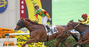 「高大威猛」今日退役,讓大家重溫一下牠贏二級賽的精彩片段吧(有片睇) 網友:佢如果唔傷,可能會贏到「金鎗六十」