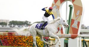 20/11/2022日本一哩冠軍賽 純淨之輝不勝無歸 KK心水推介