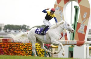 20/11/2022日本一哩冠軍賽 純淨之輝不勝無歸 KK心水推介