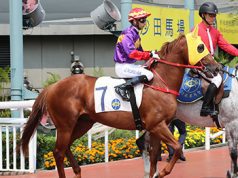 幸運傳奇泥地一哩大勝五個馬位(有片睇) 網友:係時候要諗下遠征啦!!!