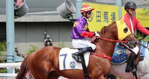 幸運傳奇泥地一哩大勝五個馬位(有片睇) 網友:係時候要諗下遠征啦!!!