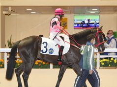 09/11/2022 谷草夜賽心水推介 好運寶馬轉倉交代 90後King仔