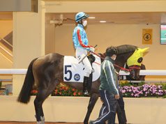 16/11/2022 谷草夜賽心水推介 電子傳奇征服三班 90後King仔