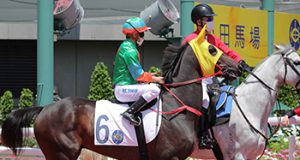 「木火兄弟」輕鬆勝出二千米(有片睇) 網友:今屆打吡冠軍仲唔係佢,何良要贏了!!!