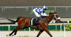 前香港馬「超霸神駒」勝出新加坡一級賽新加坡金盃(有片睇) 網友:最衰隻馬唔黎跑香港盃!!!