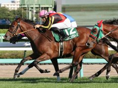 13/11/2022日本馬女皇伊利沙伯二世盃 吉典娜不勝無歸 KK心水推介