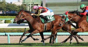 13/11/2022日本馬女皇伊利沙伯二世盃 吉典娜不勝無歸 KK心水推介