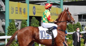 步大威猛今場全程四疊都EASY WIN(有片睇) 網友:睇佢仲叻過隻高大威猛!!!