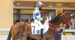 雪勇神駒輕鬆又贏一場(有片睇) 網友:隻馬仲勁過浪漫勇士!!!
