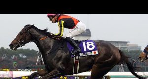 25/12/2022 有馬紀念賽日心水推介 吉典娜力爭三連捷