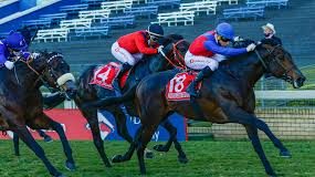 28/1/2023 南非大都會錦標賽馬日心水推介 科美迪目標今場 勁哥