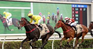 新短途馬王「金鑽貴人」輕鬆贏走百周年短途賽(有片睇) 網友:如果跑千四,金鎗六十都埋唔到佢身!!!