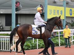 「金鎗六十」勝出二千米香港金盃(有片睇) 網友:邊個話佢老退,要贏三冠不是夢!!!